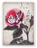 T-290 Rose