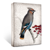 T-485 Waxwing