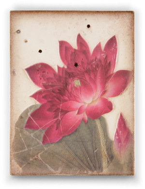 T-259 Ancient Bloom - redinteriordesign
